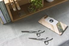 【送料無料】@home_pro アットホーム・プロ 家庭専用ハサミセット