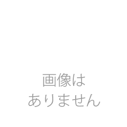 カスタム・メンテナンス等【セニング】